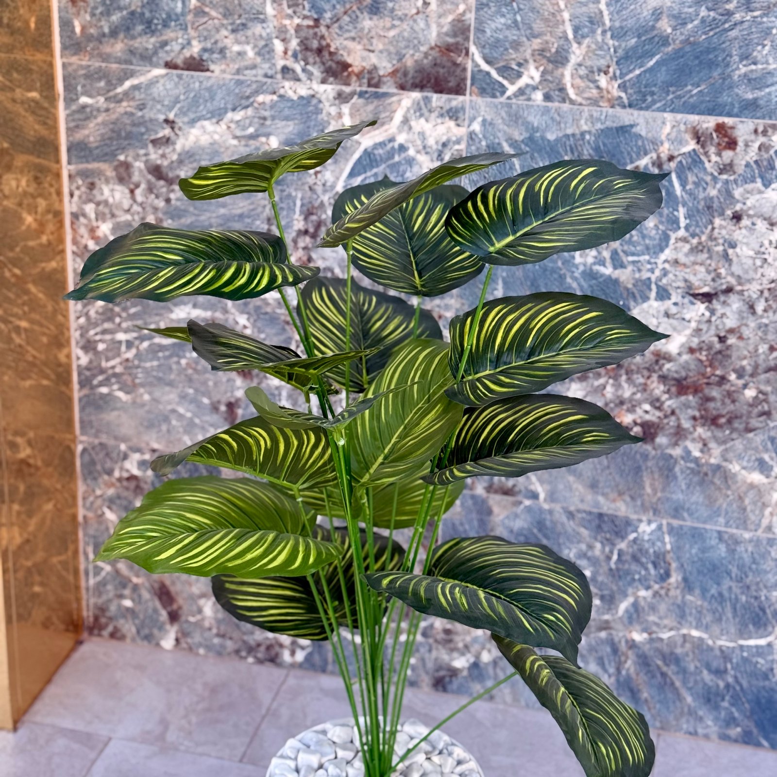 Plante grande dimension 2 – Image 4